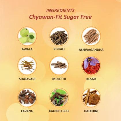 Baidyanath Chyawanfit Sugar Free - AHA KART