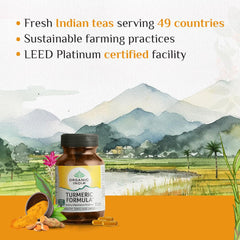 Himalaya Turmeric Formula to Build Resistance, Reduce Inflammation